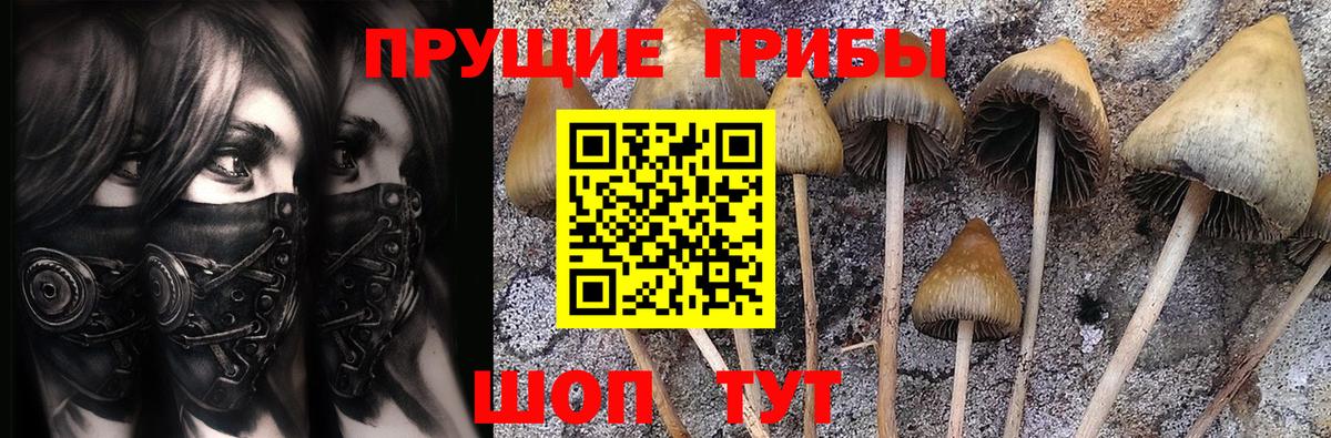 Алапаевск  Псилоцибиновые грибы Cubensis  купить   Вход с VPN 